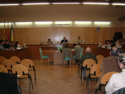 Acords del Ple del 29 de novembre de 2007.