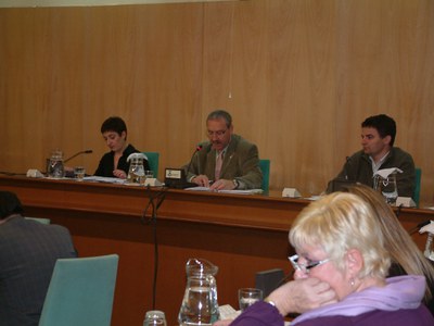 Acords del Ple ordinari del 31 de gener de 2008.