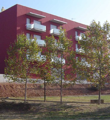 El Casal de Joves dóna informació sobre ajuts a l'habitatge, estudis i creació d'empreses .