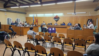 Ple Municipal de novembre.
