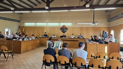 Fotografia del Ple Municipal d'Abril.