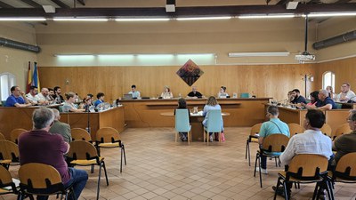 Fotografia del Ple Municipal de juny.