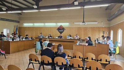 Foto del ple municipal de maig 2025.