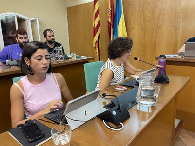 Imatge del grup municipal de Decidim, durant l'últim Ple Municipal..