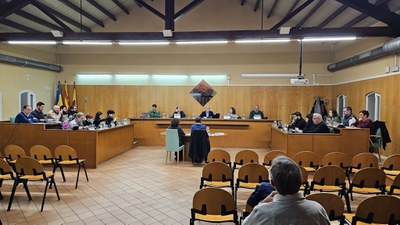 Ple Municipal - Febrer 2025.