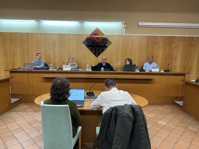 Ple Municipal - Novembre 2024.