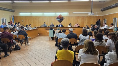 Fotografia del Ple Municipal de novembre.