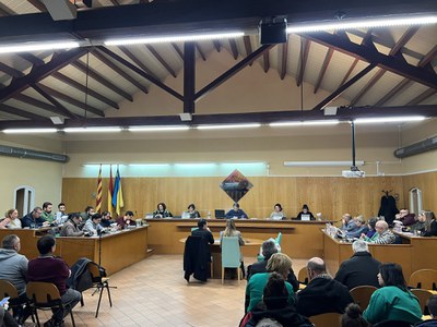 El Ple Municipal aprova el Pla Estratègic Industrial que aplega 79 accions per estimular el teixit econòmic i empresarial de Ripollet.