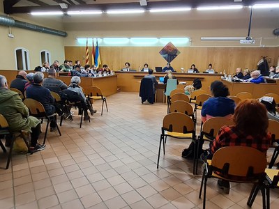 El Ple Municipal tira endavant el Pla Local de Joventut per als pròxims tres anys.