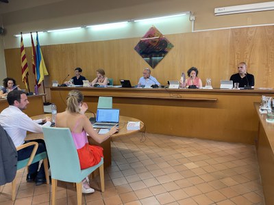 Ple extraordinari del 12 de juliol de 2023.