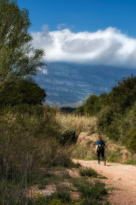 La caminada Ripollet–Montserrat s’acomiada aquest diumenge.