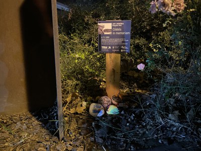 La proposta "Art i Memòria" omple d'art alguns dels espais emblemàtics de les riuades del 62.