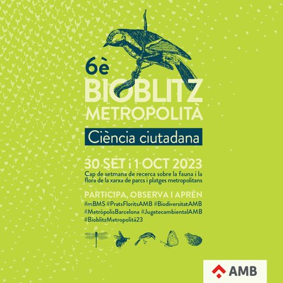 Les Jugatecambientals de Ripollet acolliran aquest diumenge, 1 d'octubre, una jornada per descobrir la biodiversitat dels seus parcs.