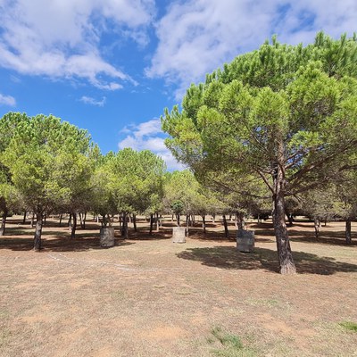 Ripollet disposarà d'un espai dedicat a la pèrdua gestacional.