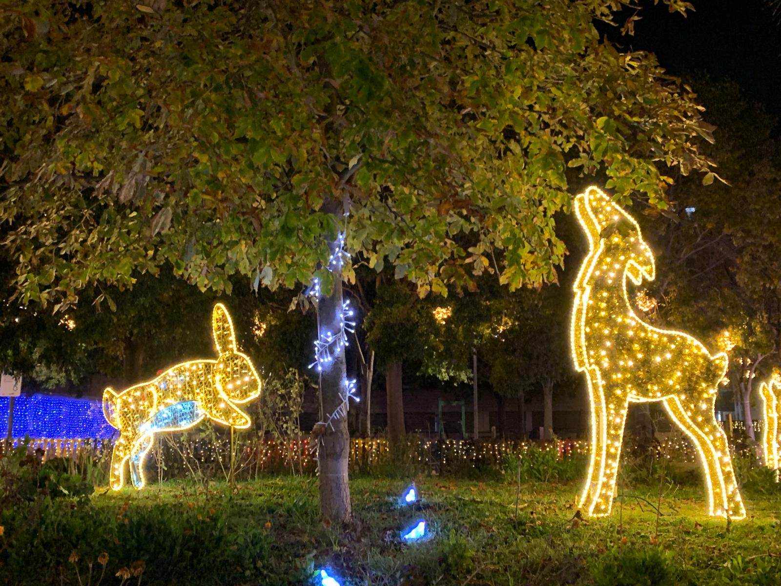 Escena del Bosc Màgic, recreant un prat, al parc de la Solidaritat.jpeg