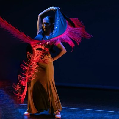 Una visita guiada i un espectacle de dansa, propostes del Festiu! per al diumenge 26.