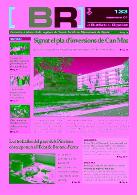 Butlletí número 133 - (Desembre 2007)