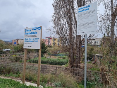 L'Ajuntament demana desallotjar les lleres del riu per a iniciar les obres a l'estiu.
