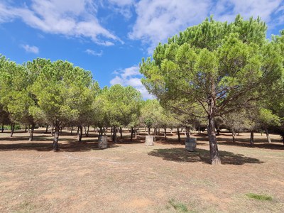 Ripollet comptarà amb un espai dedicat a la pèrdua gestacional.