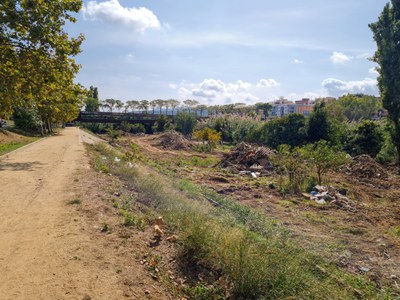 Els treballs de restauració de les lleres dels rius Ripoll i Sec arriben al pont de vianants.