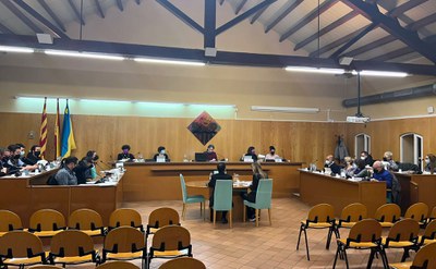 El Ple de març, el primer sota el paraigües del nou ROM.