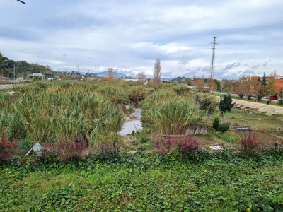 Ripollet recuperarà l'any vinent la totalitat de les lleres dels rius Ripoll i Sec.