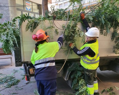 Contractades 13 persones de col·lectius prioritaris en un nou pla d’ocupació de Ripollet Impulsa.