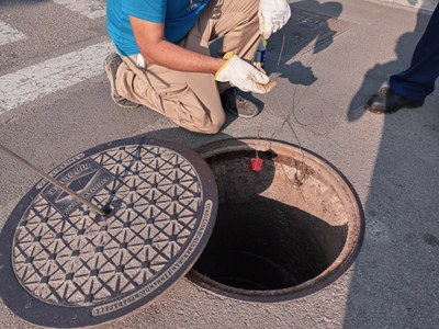 Aquesta setmana, nou tractament de plagues arreu del municipi.