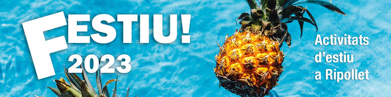 Festiu2023-capçalera.png