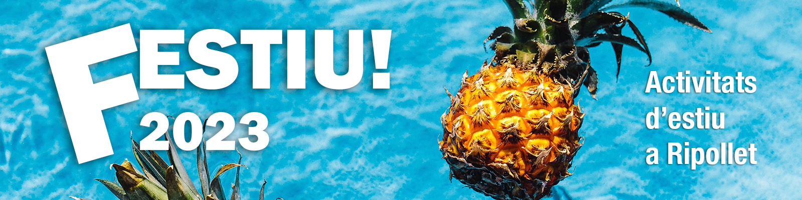 Festiu2023-capçalera.png
