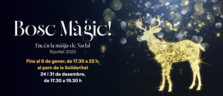 Bosc màgic1.jpg