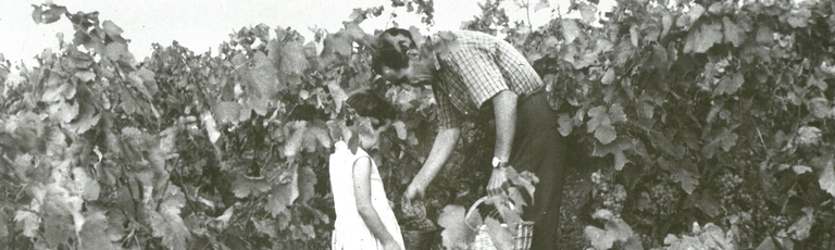 Capçalera som gent de vinya.png