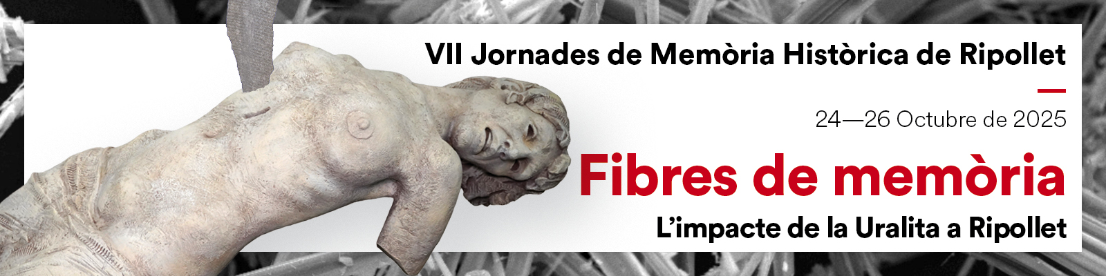FIBRA SENSIBLE-CAPÇALERA.jpg