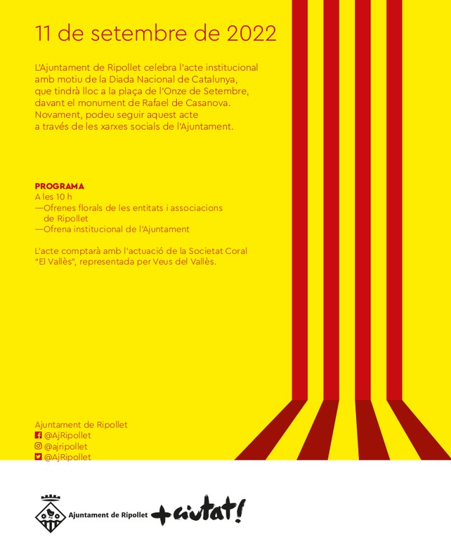 cartell Diada 11 S.jpg