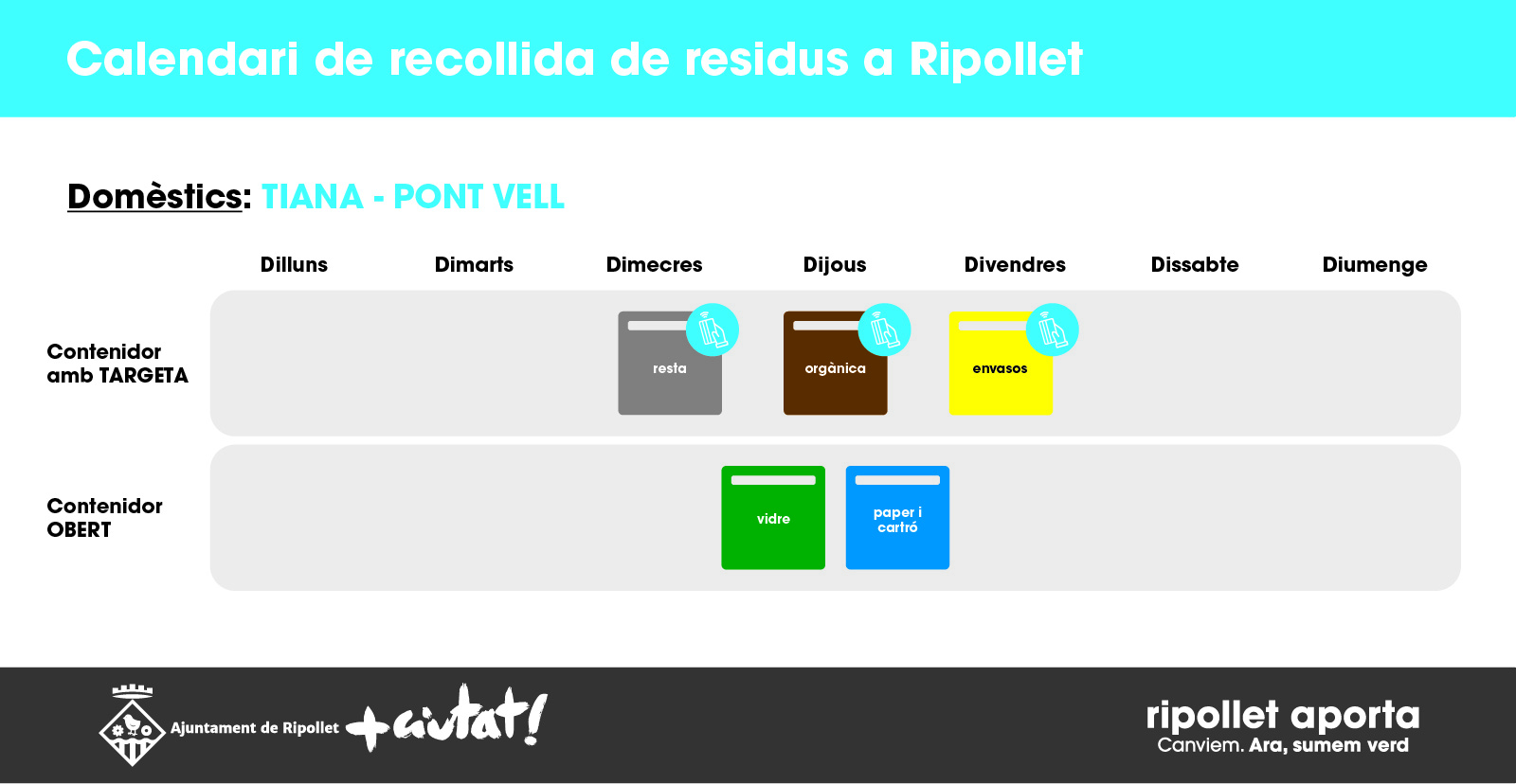 domestics - tiana pont vell.jpg