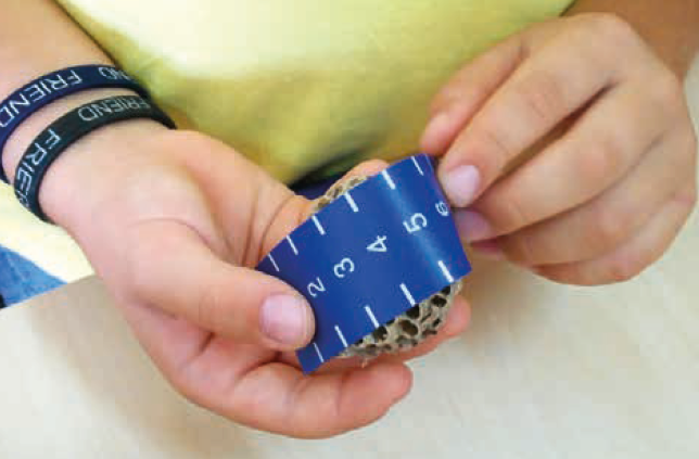 EDUCACIÓ PINETONS 02.png