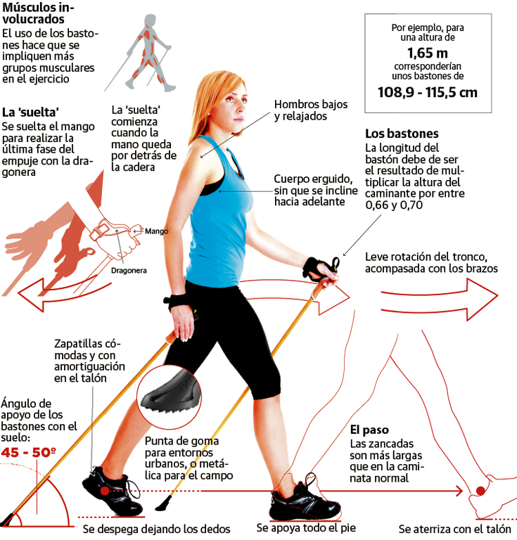 imatge marxa nordica.png