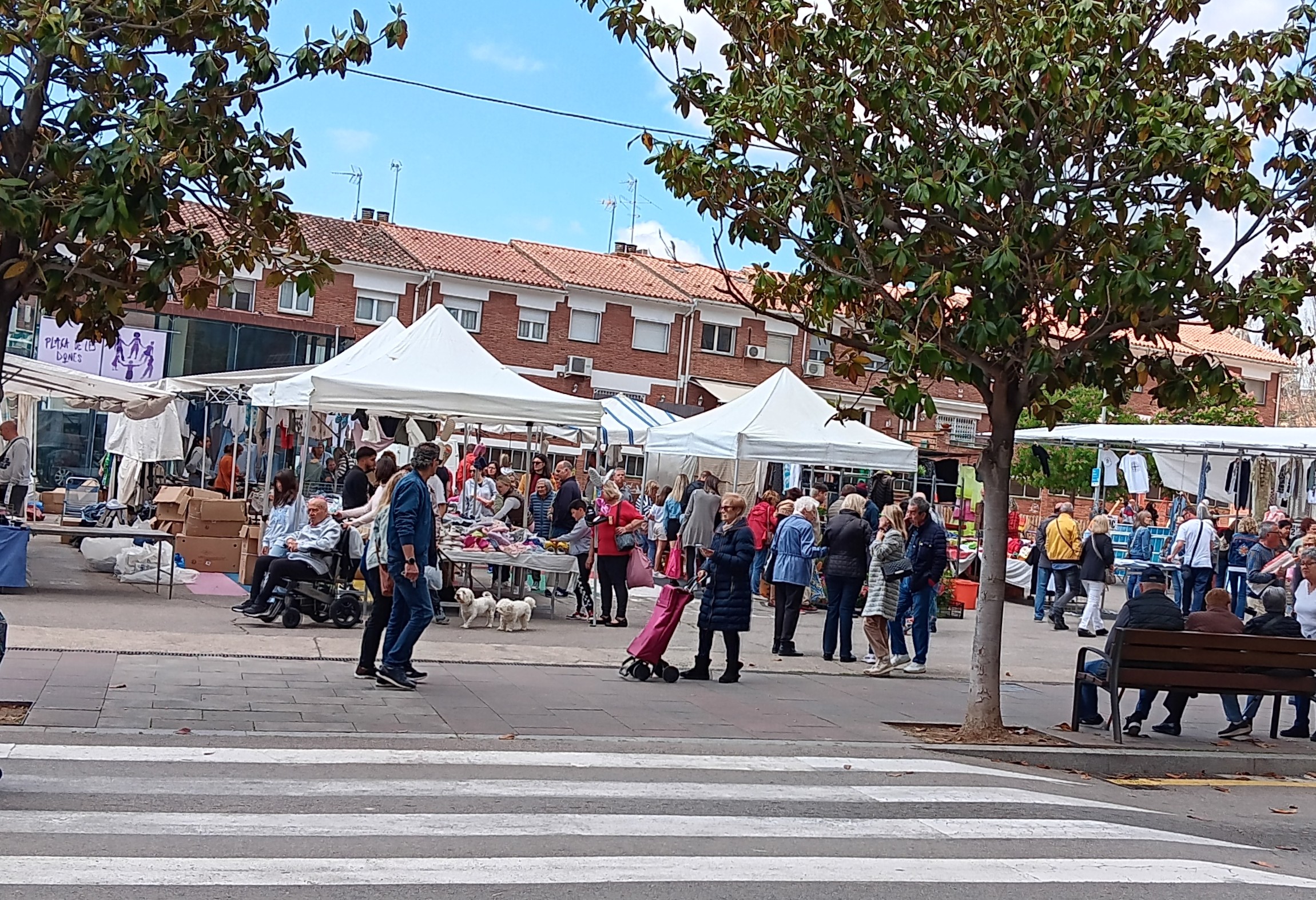 Mercatsetmanal (1).jpg