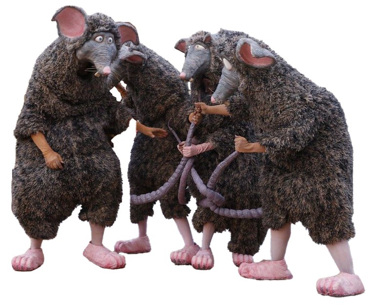 rats.jpg