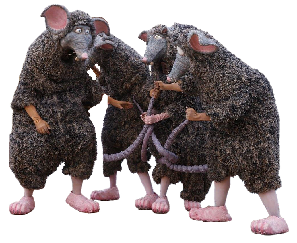 rats.jpg