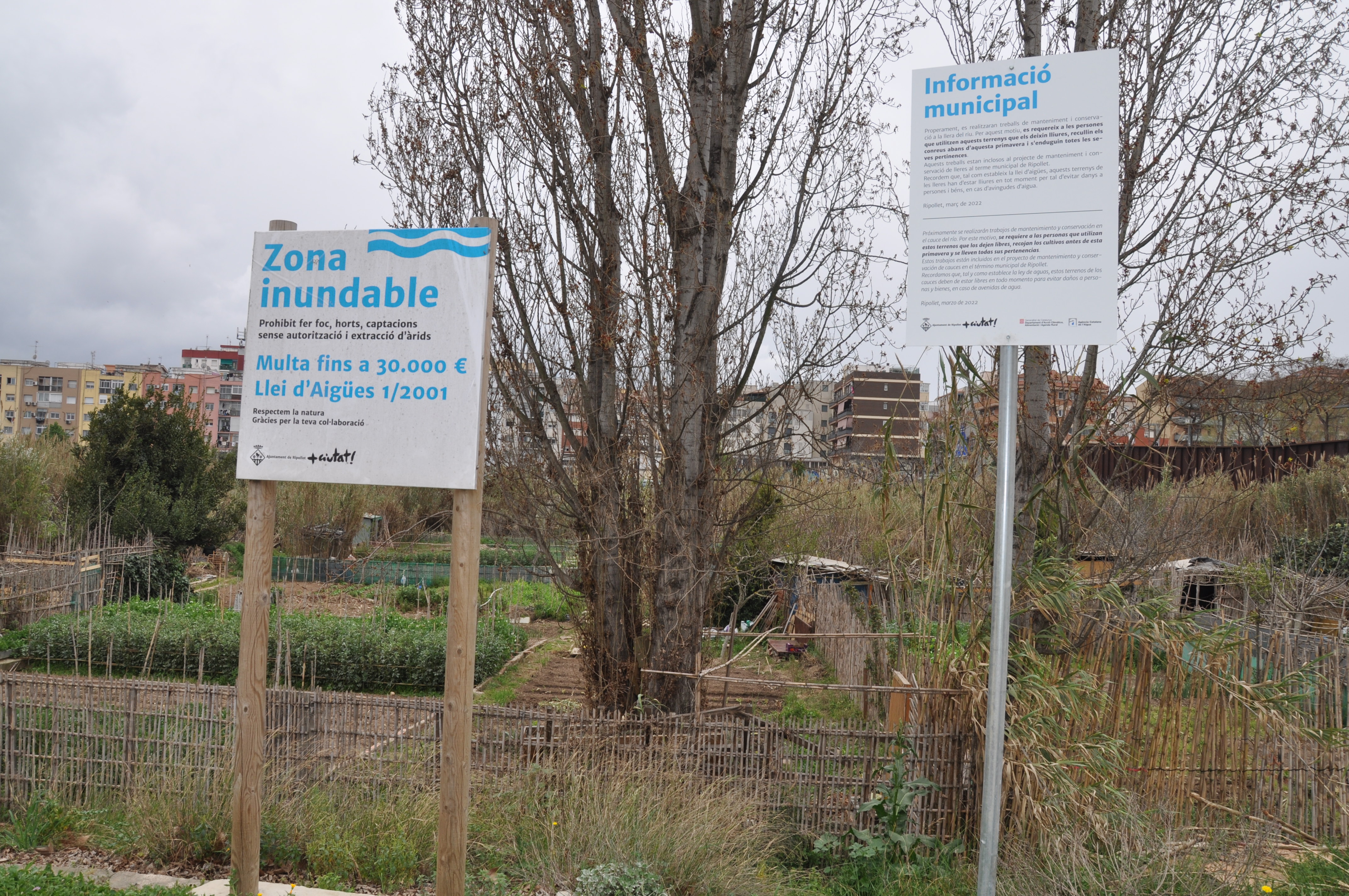 ripollet-med-recuperacio-llera-riu-ripoll-290322-2.JPG