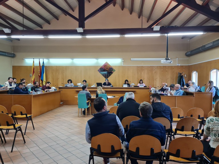 ripollet-ple-municipal-250325-01.jpeg