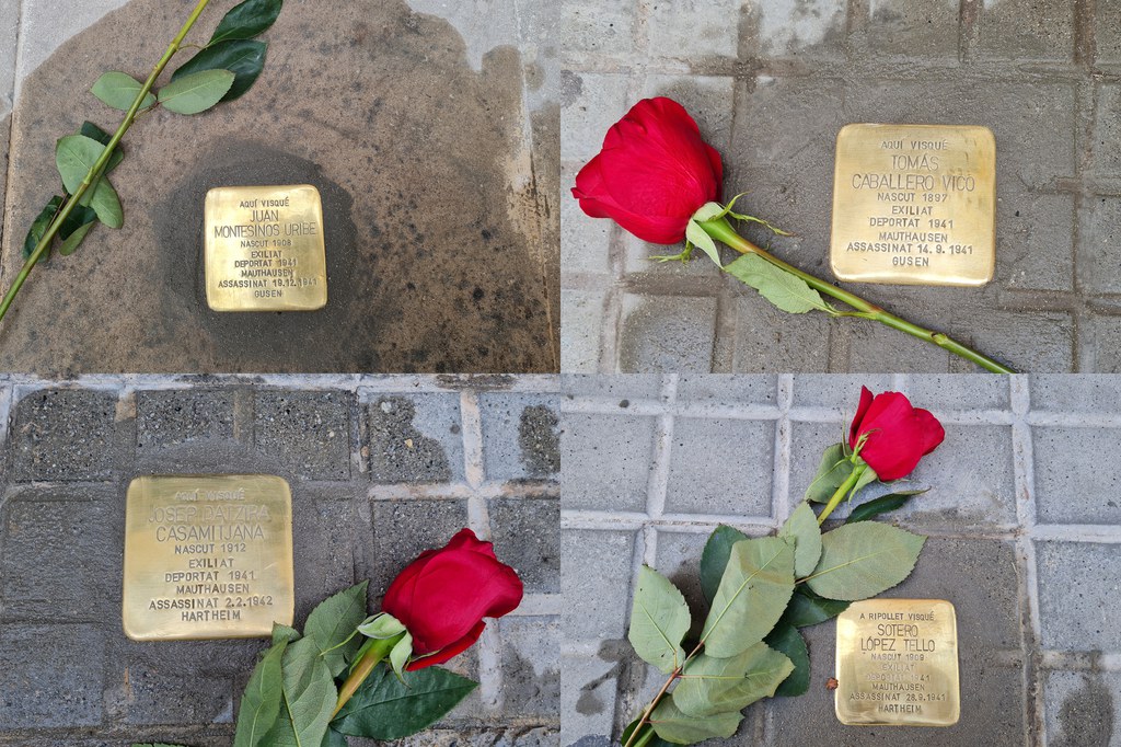 stolpersteine.jpeg