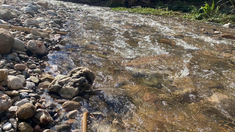 WhatsApp Image 2025-11-07 at 13.08.53.jpeg