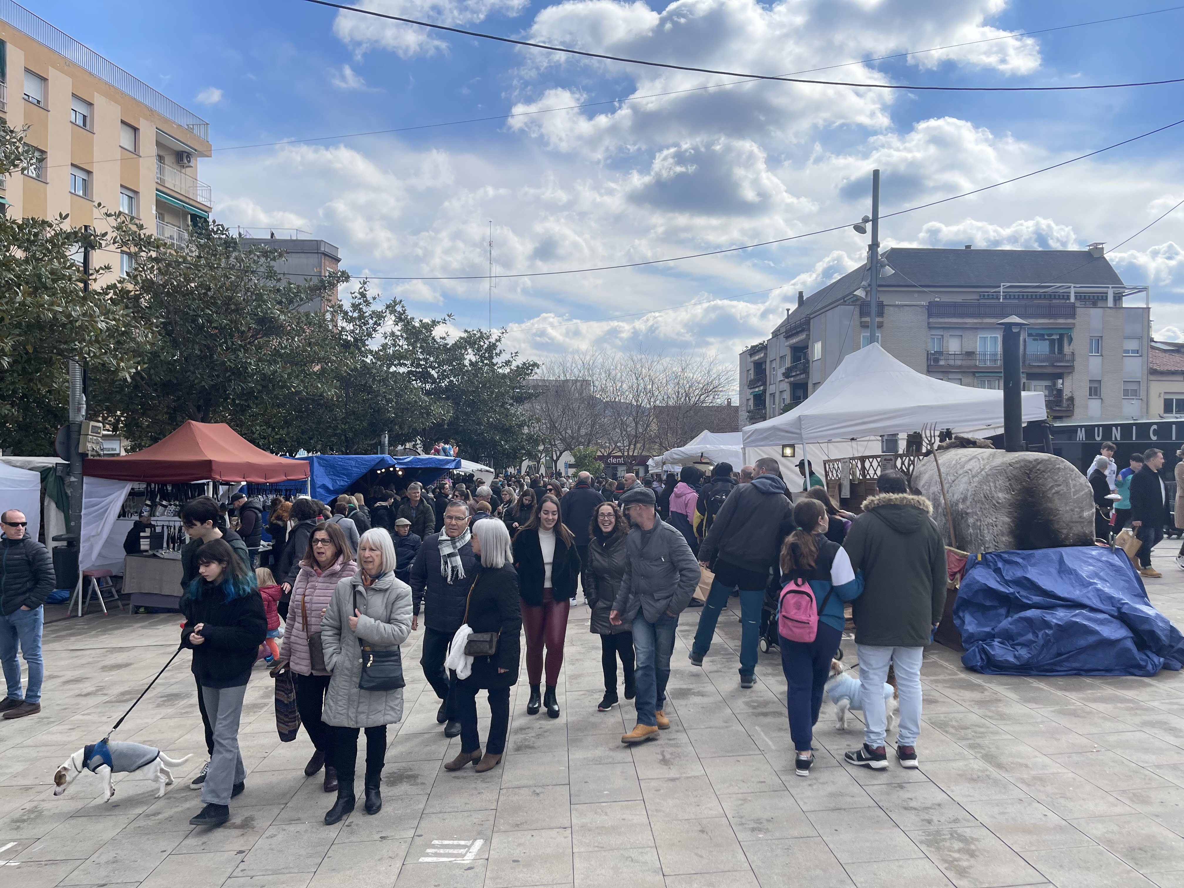 ripollet-cul-sant-antoni-abat-mercadt-260223-4.jpeg