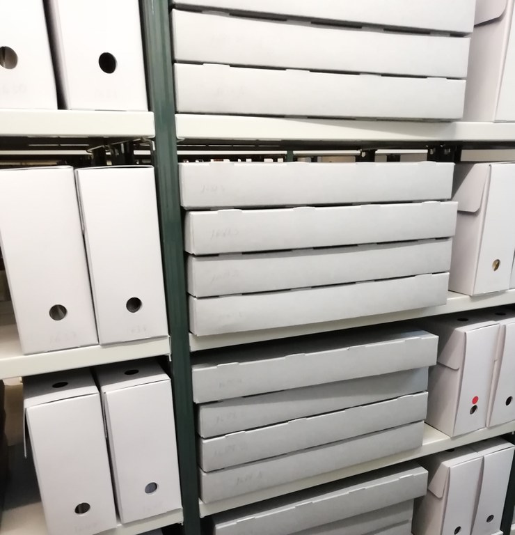 Capses de preservació