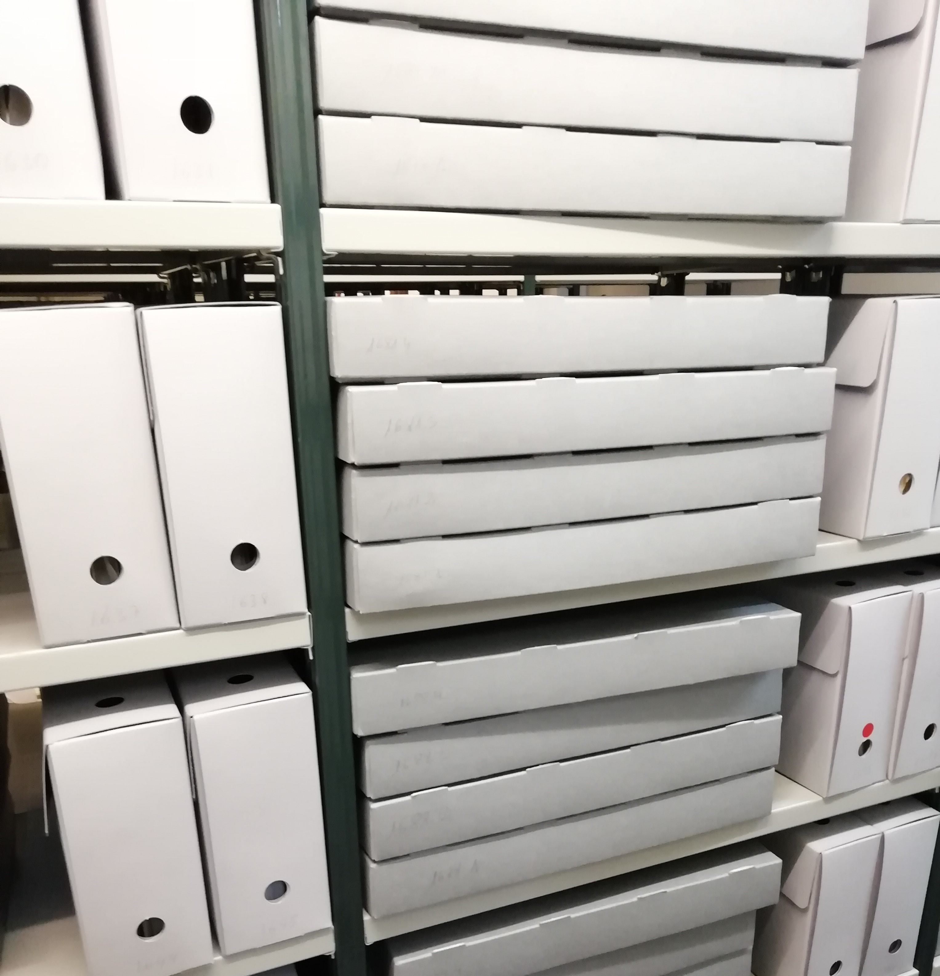 Capses de preservació