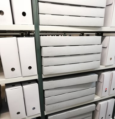 Capses de preservació